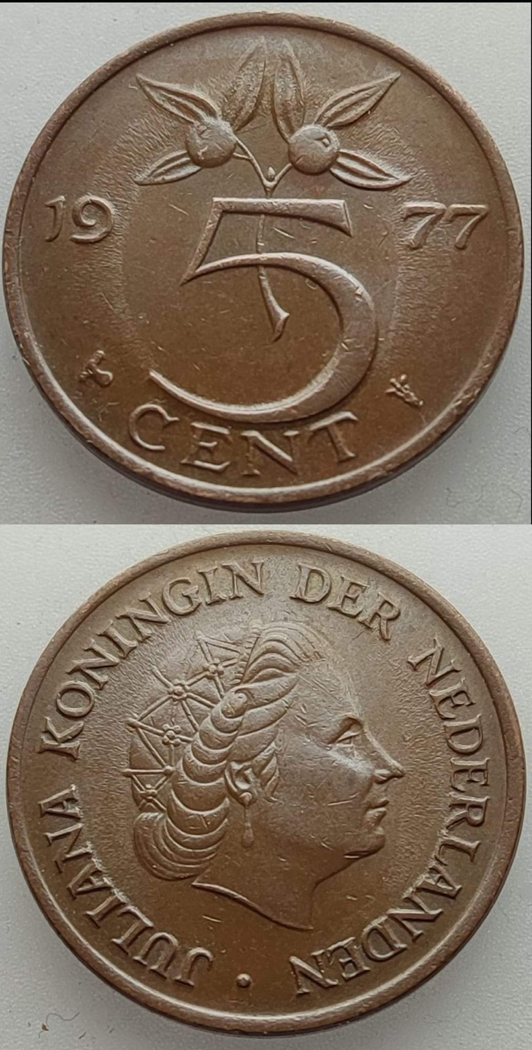 Progressive-Indirect-Design-Transfer:-Netherlands-1-Cent-1955